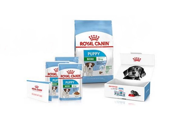 Gratis – Die Royal Canin Welpenbox!