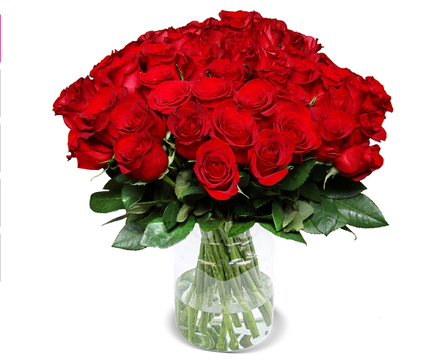 44 rote Rosen 40cm – 25,98€ inkl. Versand (statt 44€)